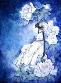 鉴宝秘术