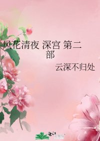 风花清夜 深宫 第二部
